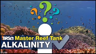 New concept in reef tank Alkalinity How it works amp how to gain 70 or more coral growth [upl. by Assyli888]