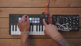 Arpeggiator  Launchkey Mini  Novation [upl. by Ferdy]