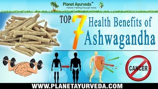 Top 7 Health Benefits of Ashwagandha Withania Somnifera  Indian Ginseng [upl. by Chessy]