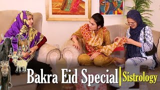 Bakra Eid Special  Sistrology  ftiqra kanwal  hira  fatima [upl. by Aiyram]