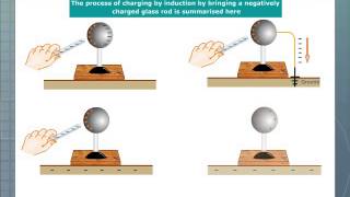 Charging an Electroscope by Induction [upl. by Pish]