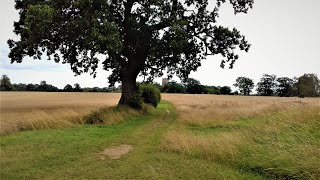 WALKING IN SUFFOLK  ROUGHAM [upl. by Atilrahc422]