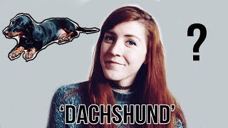 How To Pronounce Dachshund [upl. by Kallman485]