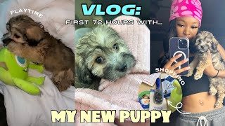 VLOG GETTING A NEW MALTIPOO PUPPY  FIRST 72HRS PUPPY PREP  VET VISIT [upl. by Eustache]