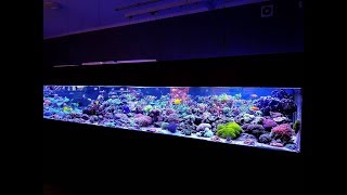 Aquaforest 912g Mixed Reef [upl. by Nannaihr]