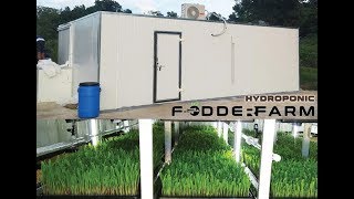 Hydroponic Fodder Farm  HiTech Power Systems [upl. by Ayocat]