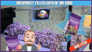 Filled the dream reeftank with Aquaforest Bio Sand [upl. by Iseabal655]