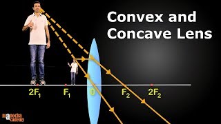 Convex and Concave Lenses [upl. by Jack]