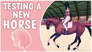 EQUESTRIAN THE GAME ⭐ Buying amp Testing Tier 5 Trailer Horse ⭐ [upl. by Swirsky833]