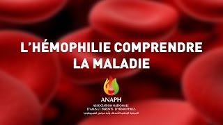 ANAPH  L Hemophilie [upl. by Berkie]