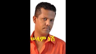 Geremew Asefa Selam Nesh Ethiopian Music [upl. by Wawro]