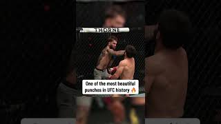 This KO from Cody Garbrandt 👀 [upl. by Serolod30]