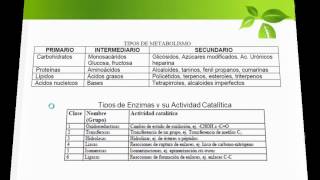 Metabolismo Vegetal Metabolitos Primarios y Secundarios [upl. by Alexei]