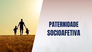 Paternidade socioafetiva [upl. by Demona]