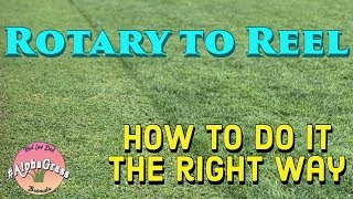 Rotary to Reel Mowing  How to do it Right  Golf Course Lawn [upl. by Kanor]