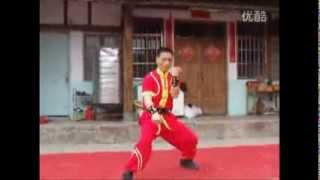 Long Zun Quan Southern Dragon Boxing Ningde prefecture Fujian [upl. by Morley]