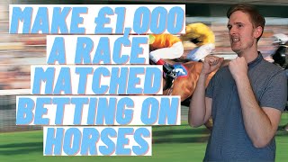 Matched Betting on Horses for Beginners guide amp tutorial using OddsMonkey or Profit accumulator [upl. by Mall387]