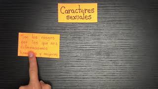 Caracteres sexuales Primarios y secundarios [upl. by Mischa]