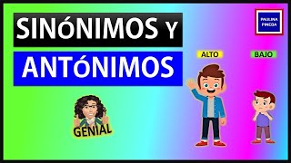 ¿QUÉ ES LA SINONIMIA Y ANTONIMIA [upl. by Gitel]