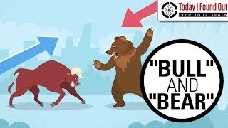 Why are Bull and Bear Markets Called That [upl. by Acir]