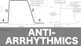 Antiarrhythmic Pharmacology [upl. by Airdnazxela]