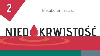 Niedokrwistość cz 2 Metabolizm żelaza [upl. by Alysoun]