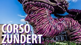 Biggest Flower Parade Corso Zundert 2018 Netherlands [upl. by Kremer772]