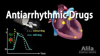 Antiarrhythmic Drugs Animation [upl. by Einre117]