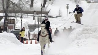 Crazy Winter Sport Skijoring  Season Pass [upl. by Citarella]