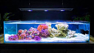 How I Built My Shallow Reef Tank How To Make a Reef Tank [upl. by Etta]