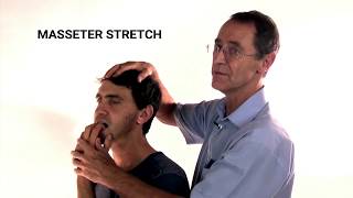 How to Stretch the Masseter Muscle  Trigger Point Therapy [upl. by Llenrahs]