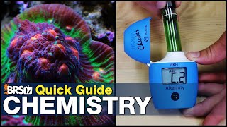 Quick Guide to Mastering Reef Tank Chemistry  Become an expert reef tank chemist without a degree [upl. by Adebayo]