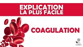 lexplication la plus facile  la Coagulation [upl. by Lokin]