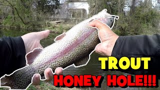 I DEFINITELY FOUND the Trout HONEY HOLE in NJ [upl. by Alleynad546]