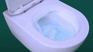 What are Rimless Toilets [upl. by Rayford]