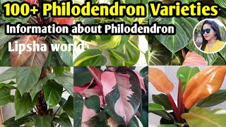 100 Philodendron Plants varieties  Philodendron Plants varietiesidentification  Lipsha world [upl. by Enahsed]