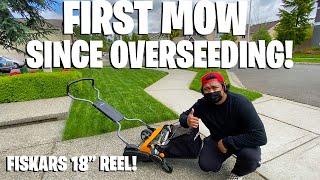 OVERSEEDING FIRST MOW  Fiskars 18quot REEL MOWER  SPRING OVERSEEDING RESULTS [upl. by Genesa]