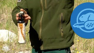 How to Use Bear Spray  Banff National Park [upl. by Elena257]