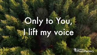 I Worship You Lyric Video [upl. by Yzdnil220]