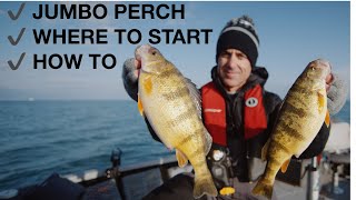 Early season JUMBO perch Lake Erie how to [upl. by Stoat954]