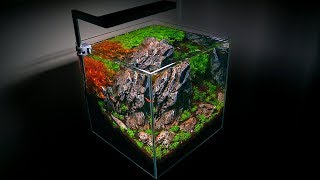 SETTING UP A SMALL AQUARIUM  NANO AQUASCAPE [upl. by Phina135]