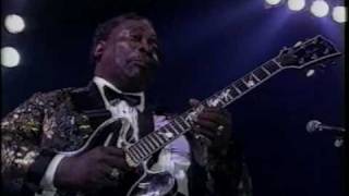 BB King  Im a bluesman  North Sea Jazz [upl. by Boigie]