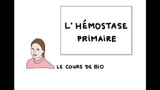 Hémostase primaire [upl. by Anayeek]