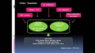 Nauseas y vomitos [upl. by Oirrad]