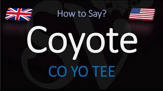 How to Pronounce Coyote  English American Pronunciation [upl. by Ailisec]