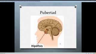 Caracteres primarios y secundarios Pubertad [upl. by Ynattir983]