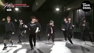 1st VS Last Performance  Hellevator  STRAY KIDS [upl. by Fisher]