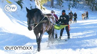 The Traditional Winter Sport Of Skijoring [upl. by Eugenie]