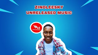 ZINOLEESKY UNRELEASED MUSIC 2024 [upl. by Arannahs674]