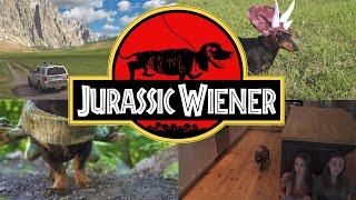 Ep 1 quotJurassic Wienerquot  Dachshund Dinosaurs [upl. by Kendrah]